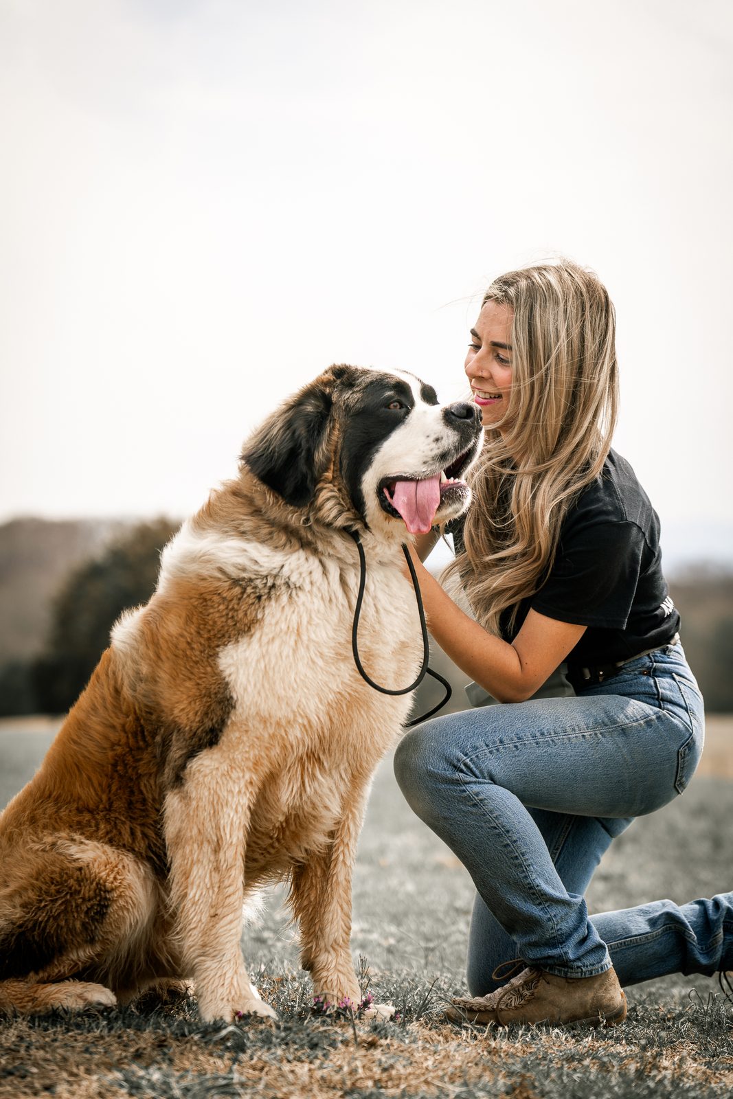 A trainer kneeling with her arm around a smiling Saint Bernard in an open field